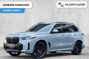 xDrive30d, Pneumatyka, Innowacji, Comfort Plus, 22 cale, Panorama, Hak